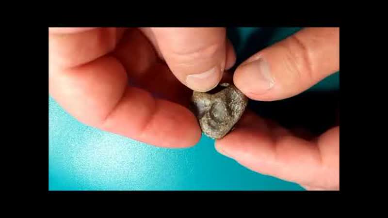 Осколок дна океана Тетис Салют Грете Тунберг Shard of ocean floor