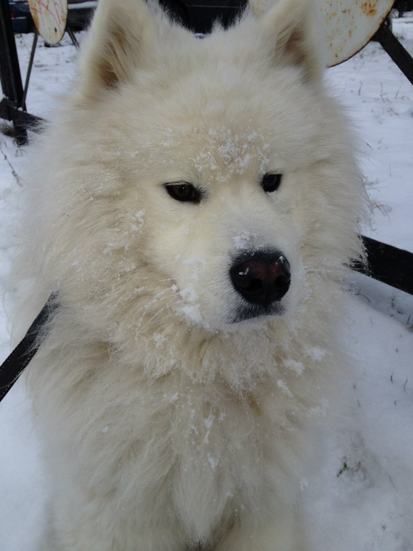 Анна Тарасюк | Санкт-Петербург