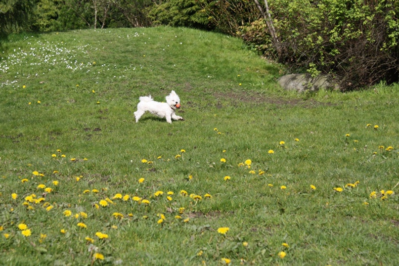 Julia Victorovna | Vancouver