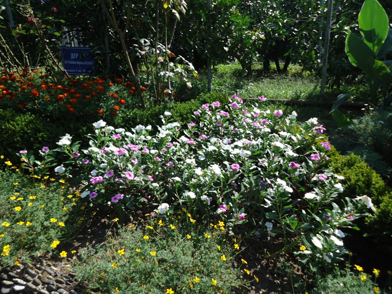 Марина Илларионова | Ярославль (деревня)