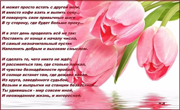 Сергей Сенин Владимирович | Самара