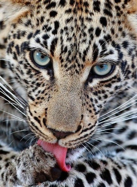 Татьяна Соболева | Ижевск