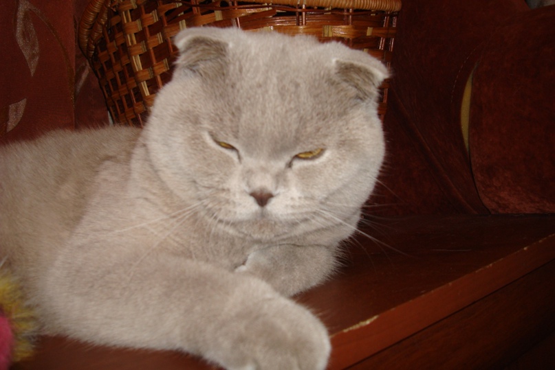 Марина Платонова | Санкт-Петербург