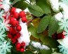 Юлия Скуратова | Омск