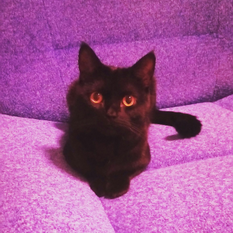 Оксана Гордеева | Казань