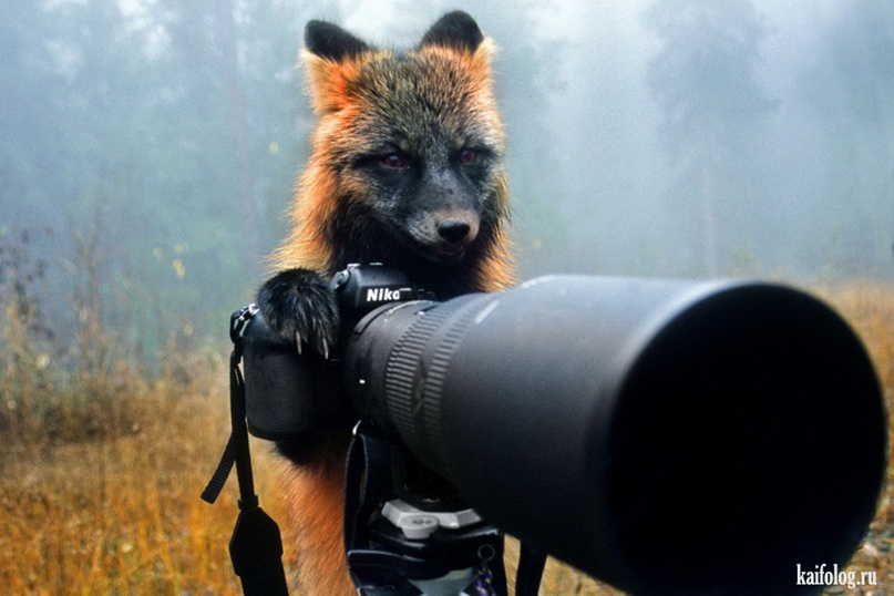 Андрей Рулин | Москва