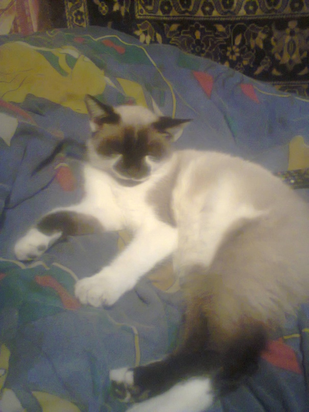 Олег Павлов | Первомайск