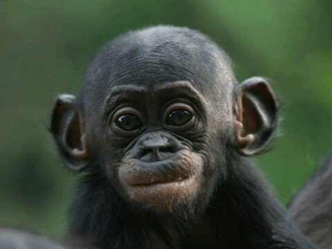 Аня Родионова | Задонск