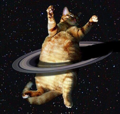 Елена Мовчан | Москва