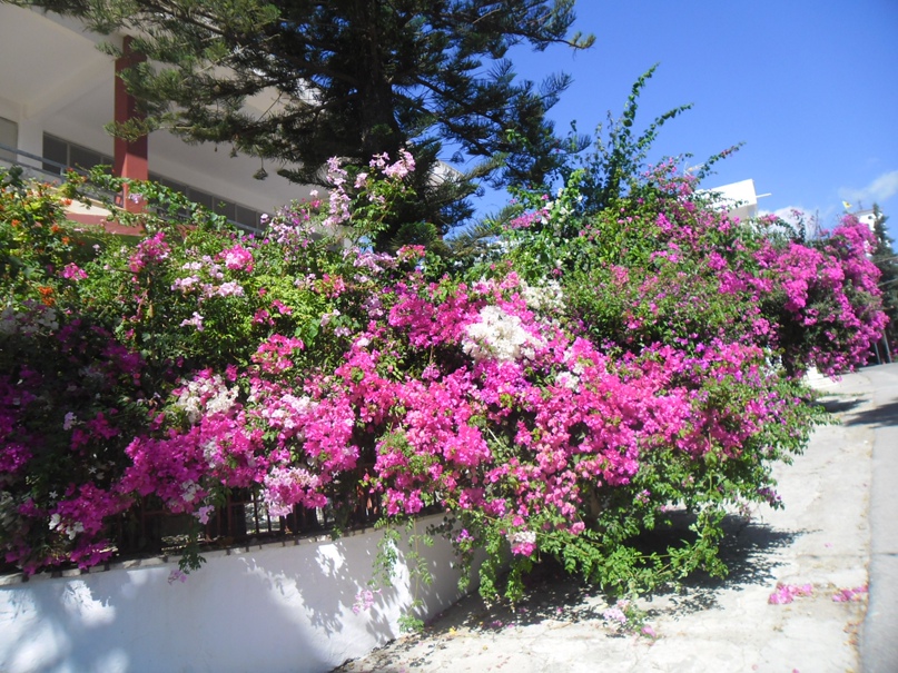 Наталья Онищенко | Усть-Илимск