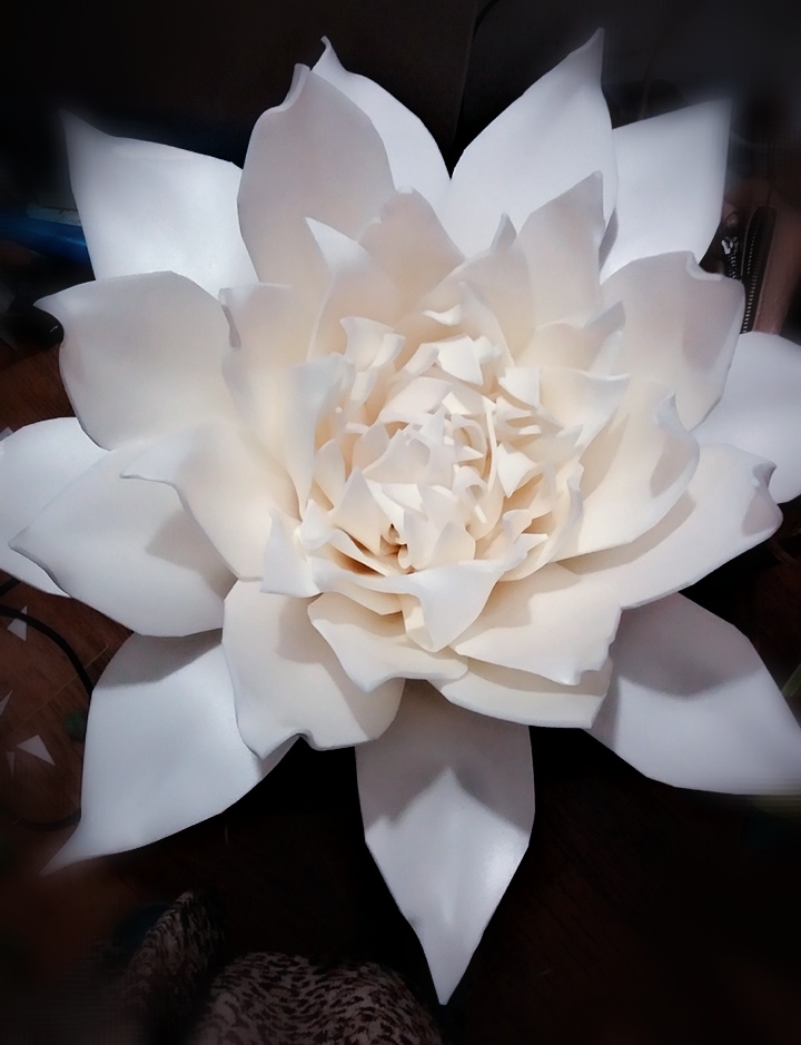 Ольга Доценко | Херсон