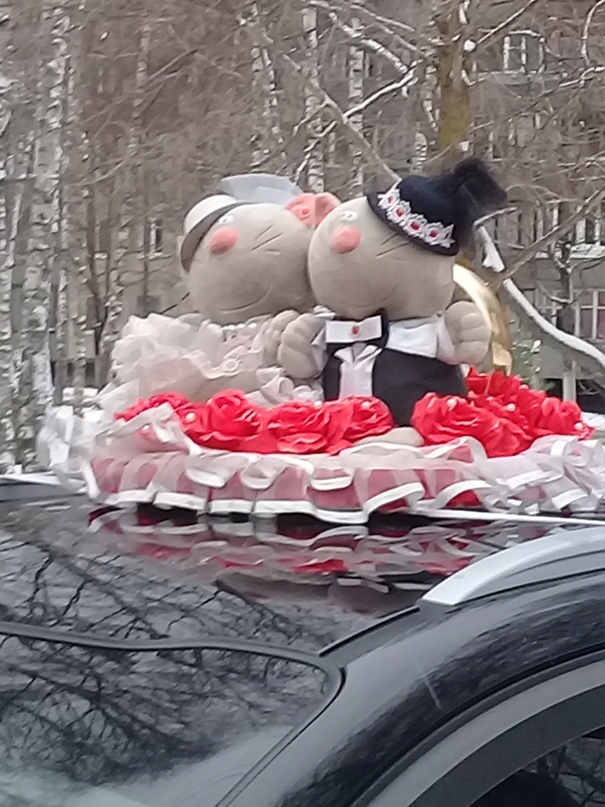 Ирина Нарижная | Десногорск