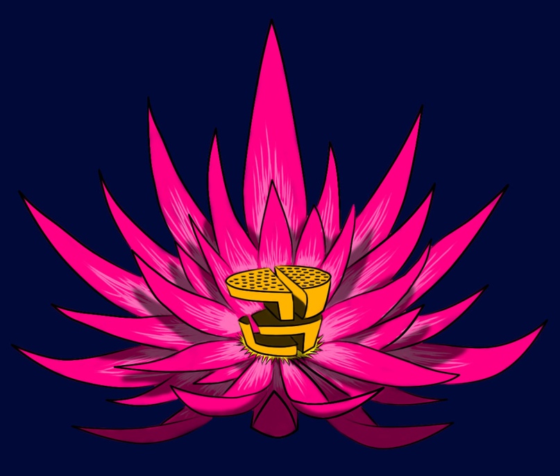 Дмитрий Ким | Санкт-Петербург