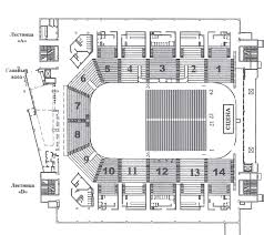 Воспитанники спортивной школы по баскетболу им. В.И. Грекова стали победителями