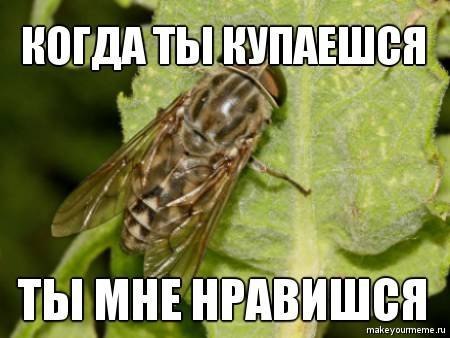 Сергей Владимирович | Новосибирск
