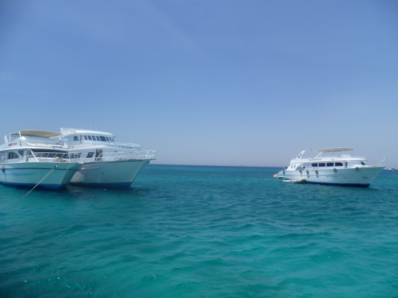 Елена Кутьина | Южа