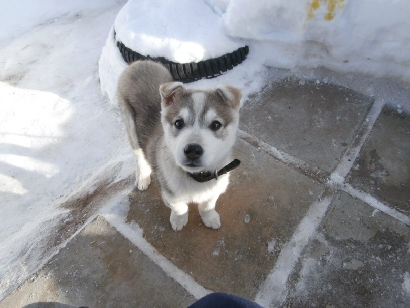 Артем Большаков | Нижний Новгород