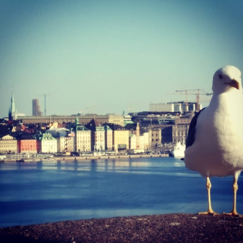 Ольга Щербакова | Кемерово