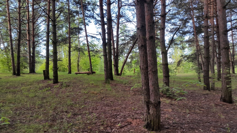 Вячеслав Строгинский | Москва