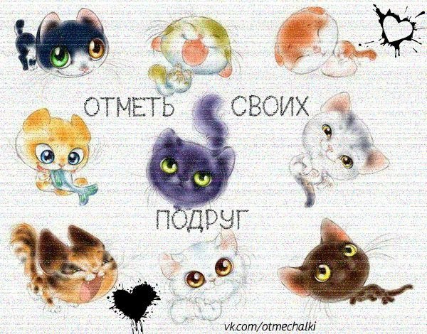 Ирина Коновалова | Стерлитамак