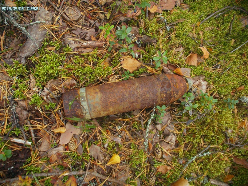 Дмитрий Писаренко | Сортавала