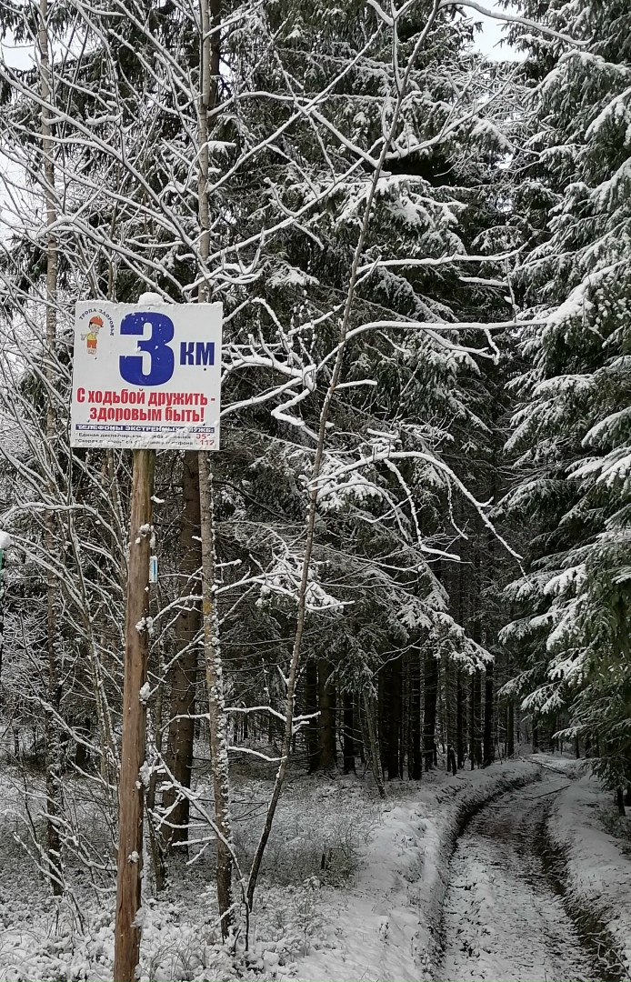 Людмила Симонова | Череповец