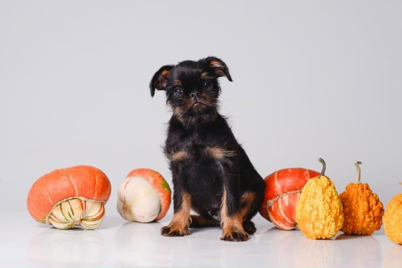 Ирина Гуревич | Челябинск