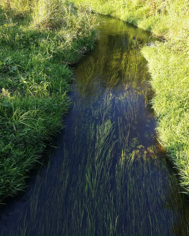 Сергей Конов | Москва