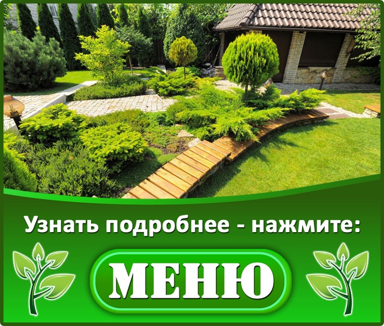 Марина Иванова | Москва