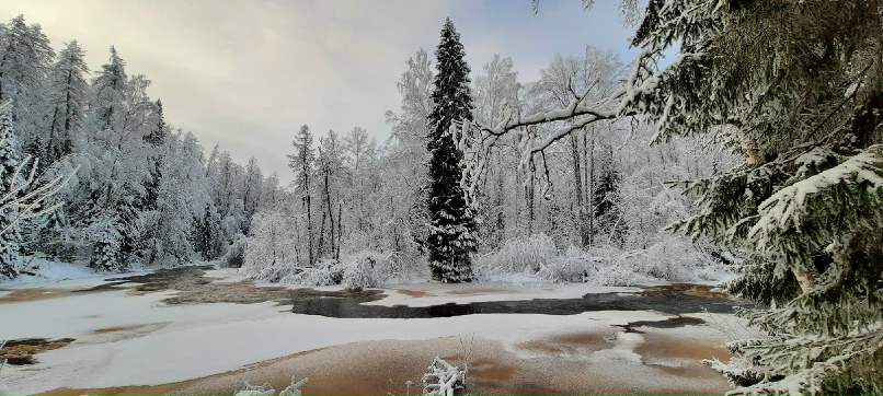 Olga Savchenkova Sergeevna | Санкт-Петербург