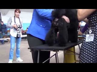 00041   Моно Челябинск   TSAREVICH ELISEY- I IZ GRADA KATERINY