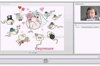 Что такое Овуляция