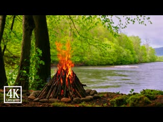 True Natural ASMR  Campfire, Gurgling River & Forest Birds for Unwind & Relax