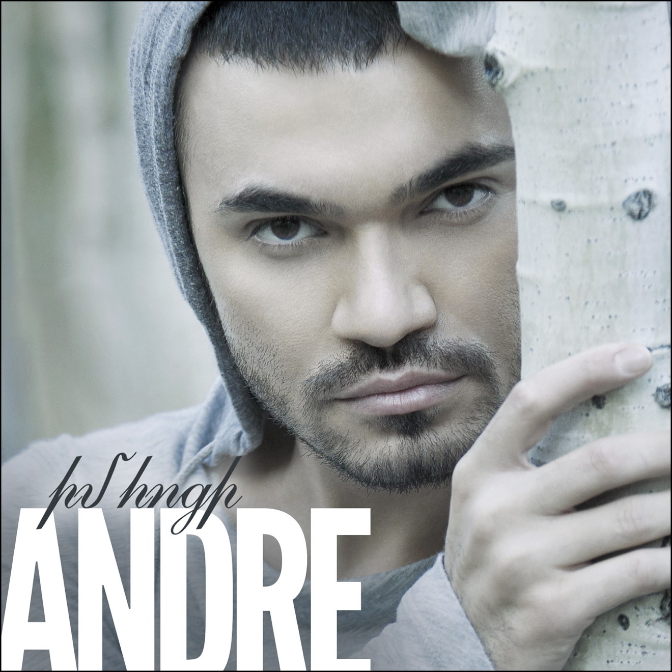 Andre