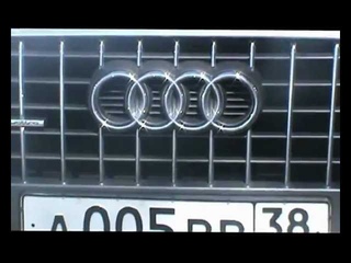 Активисты “Стоп-хама“ провели первый рейд в Иркутске