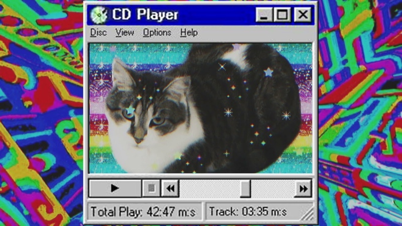 I love cats