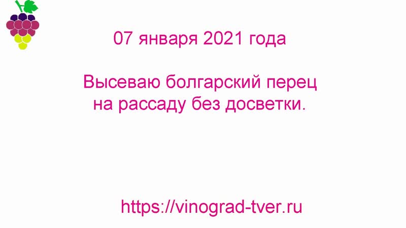 07 января 2021 года провёл посев перца болгарского сладкого на
