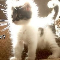 Людмила Астафьева | Санкт-Петербург