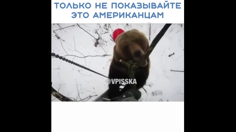 Да он помоч