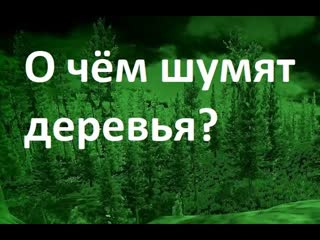 Путь бомжа  Тарков с модами # 66