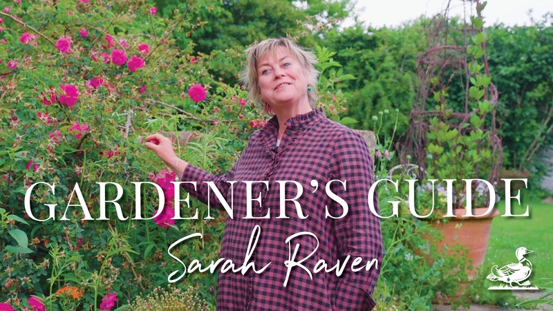 Sarah Raven: Tips And Tricks From Her Perch Hill Garden, Country Living
