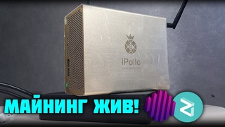 Домашний майнинг жив! iPollo v1 mini 300 m/h. Octa+zil на K1pool