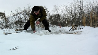 ловля бобров петлями 1