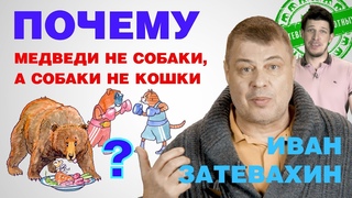 09 || Почему медведи не собаки, а собаки не кошки || Затевахин о Животных