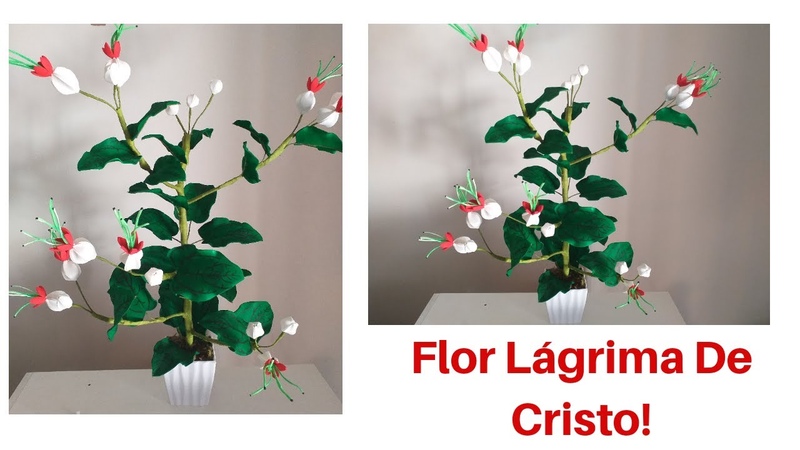 Como fazer arranjo de flor lágrima de cristo em eva sem frisador, Janaina