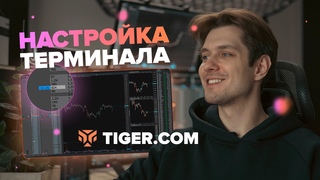 Настройка терминала для трейдинга  ()