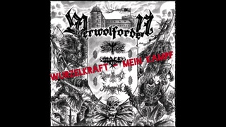 Wurzelkraft - Mein Kampf